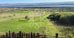 Teren extravilan de vanzare 4045 mp in zona Tileagd