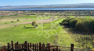 Teren extravilan de vanzare 4045 mp in zona Tileagd