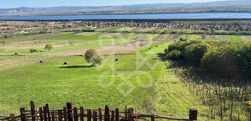 Teren extravilan de vanzare 4045 mp in zona Tileagd
