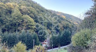 Teren pentru casa de vacanta pe Valea Bratcutei, Bihor