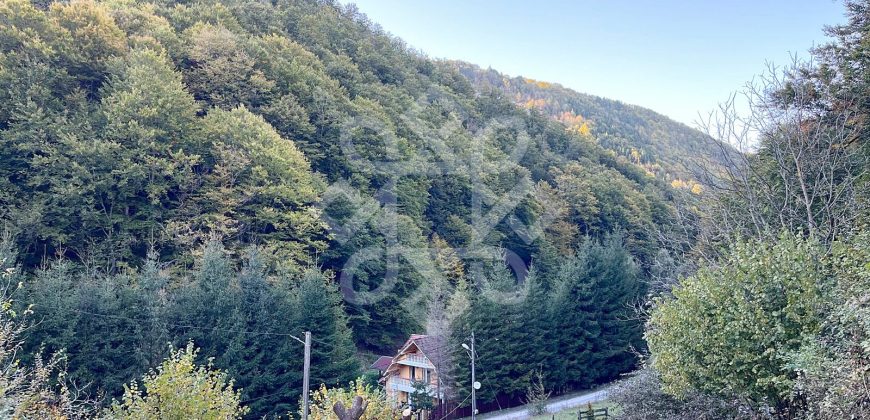 Teren pentru casa de vacanta pe Valea Bratcutei, Bihor