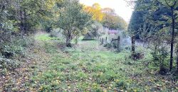 Teren pentru casa de vacanta pe Valea Bratcutei, Bihor