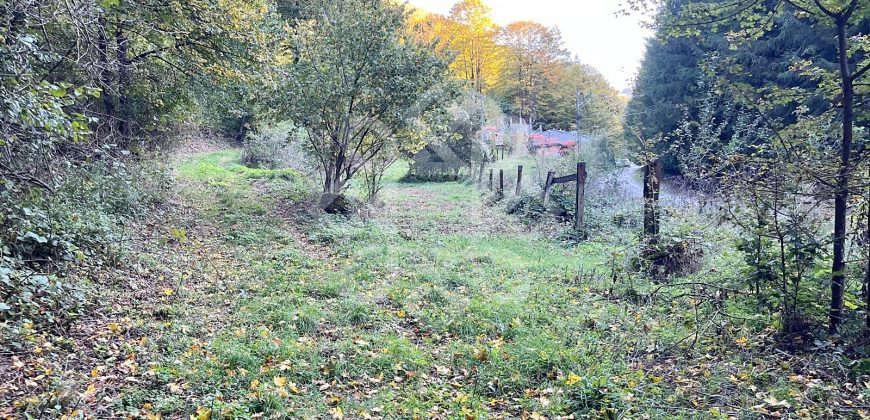 Teren pentru casa de vacanta pe Valea Bratcutei, Bihor