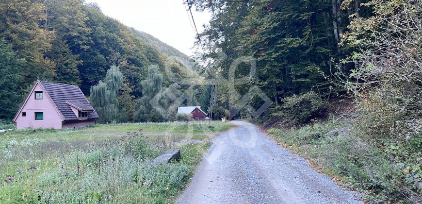 Teren pentru casa de vacanta pe Valea Bratcutei, Bihor