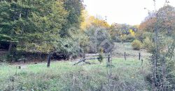 Teren pentru casa de vacanta pe Valea Bratcutei, Bihor