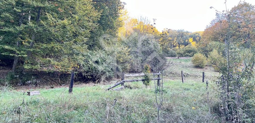 Teren pentru casa de vacanta pe Valea Bratcutei, Bihor