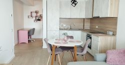 Apartament cu 2 camere de inchiriat in Prima Arena Iosia