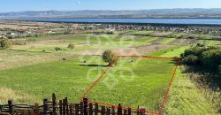 Teren extravilan de vanzare 4045 mp in zona Tileagd