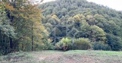 Teren pentru casa de vacanta pe Valea Bratcutei, Bihor