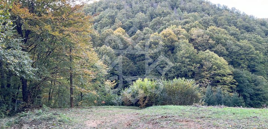 Teren pentru casa de vacanta pe Valea Bratcutei, Bihor