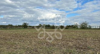 Teren de vanzare in zona industriala din Santandrei