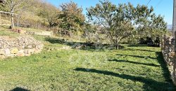 Casa de vacanta din busteni, zona superba la 27 km de Oradea