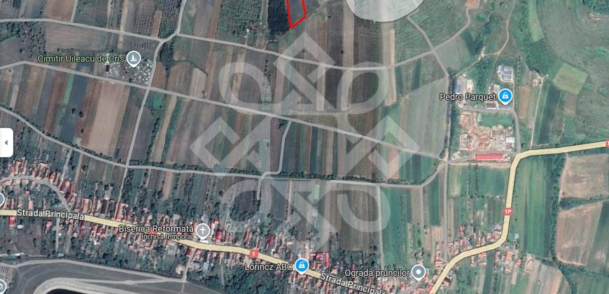 Teren extravilan de vanzare 4045 mp in zona Tileagd