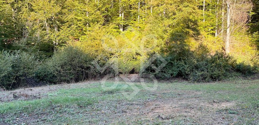 Teren pentru casa de vacanta pe Valea Bratcutei, Bihor