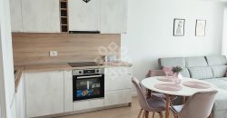 Apartament cu 2 camere de inchiriat in Prima Arena Iosia