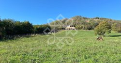 Teren extravilan de vanzare 4045 mp in zona Tileagd