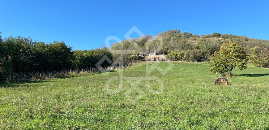 Teren extravilan de vanzare 4045 mp in zona Tileagd