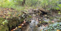 Teren pentru casa de vacanta pe Valea Bratcutei, Bihor