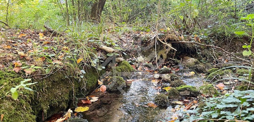 Teren pentru casa de vacanta pe Valea Bratcutei, Bihor