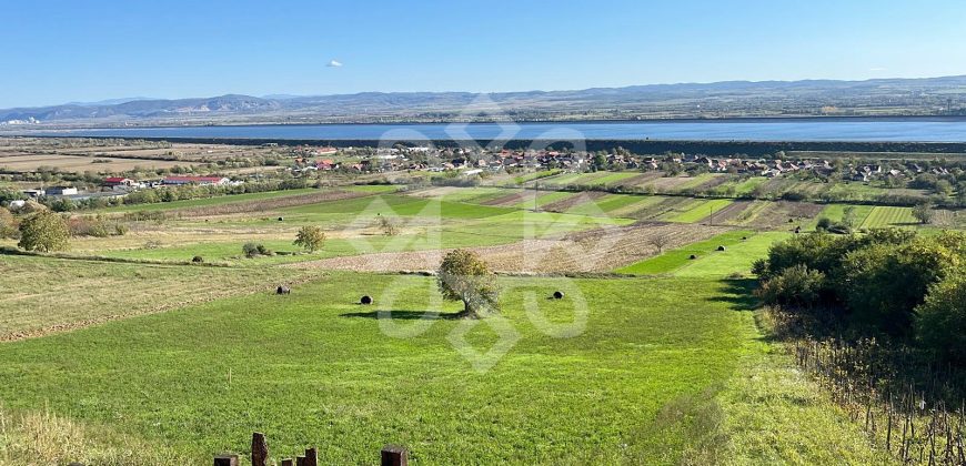 Teren extravilan de vanzare 4045 mp in zona Tileagd