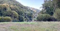 Teren pentru casa de vacanta pe Valea Bratcutei, Bihor