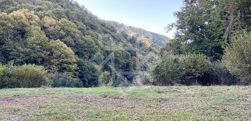 Teren pentru casa de vacanta pe Valea Bratcutei, Bihor