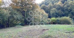 Teren pentru casa de vacanta pe Valea Bratcutei, Bihor