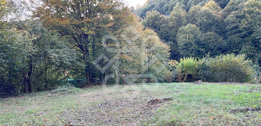 Teren pentru casa de vacanta pe Valea Bratcutei, Bihor