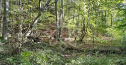 Teren pentru casa de vacanta pe Valea Bratcutei, Bihor