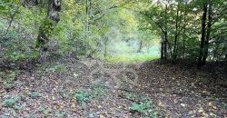 Teren pentru casa de vacanta pe Valea Bratcutei, Bihor