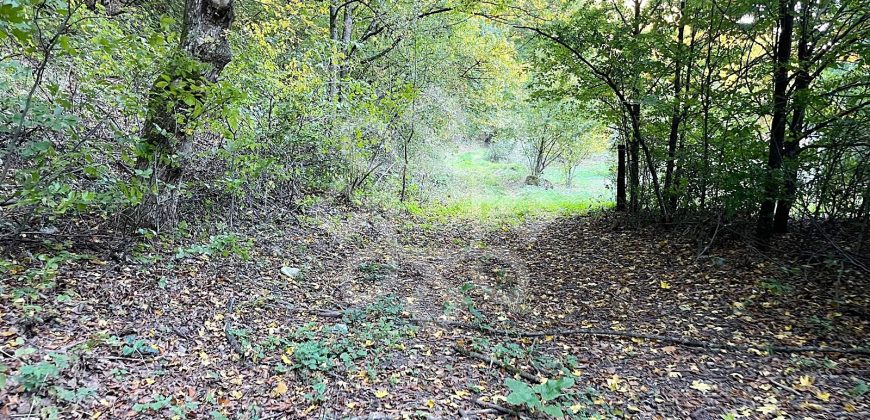 Teren pentru casa de vacanta pe Valea Bratcutei, Bihor