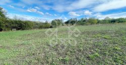 Teren intravilan 5995 mp de vanzare in Hidiselu de Sus