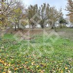 Teren intravilan 2260 mp pe Strada Facliei, Oradea