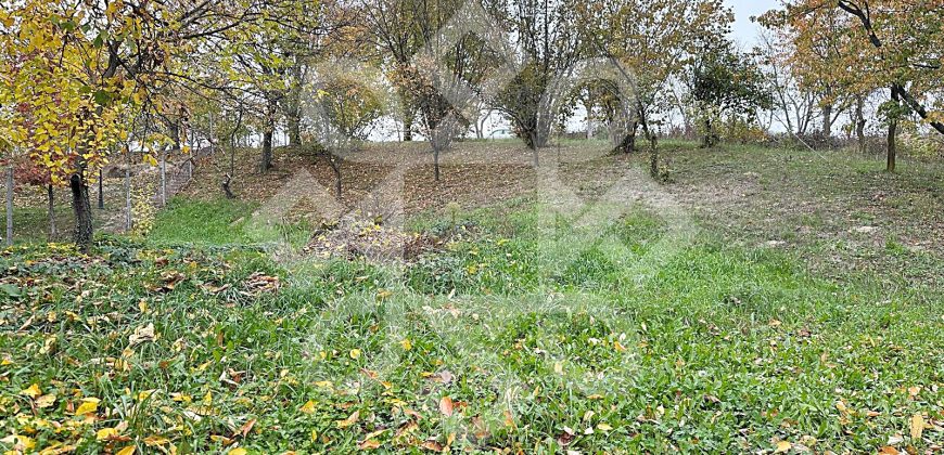 Teren intravilan 2260 mp pe Strada Facliei, Oradea
