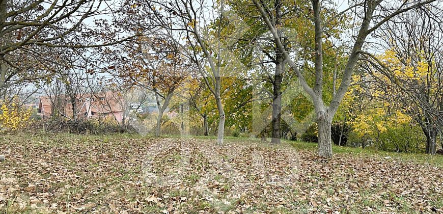 Teren intravilan 2260 mp pe Strada Facliei, Oradea