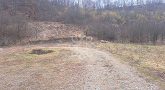 Teren intravilan 967 mp de vanzare in Lugasu de jos