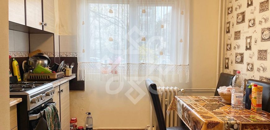 Apartament cu 2 camere de vanzare la parter in Rogerius