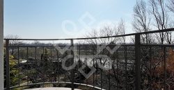 Vila de vanzare pe Malul Crisului, strada Facliei Oradea