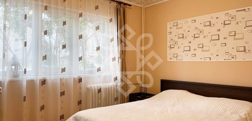 Apartament cu 2 camere de vanzare la parter in Rogerius