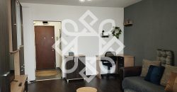 Garsoniera de inchiriat pe strada Aluminei, Rogerius