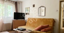 Apartament cu 3 camere de vanzare la etajul 2 in Nufarul
