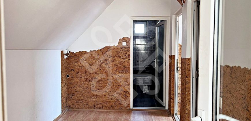Casa cu 6 camere de inchiriat in Rogerius