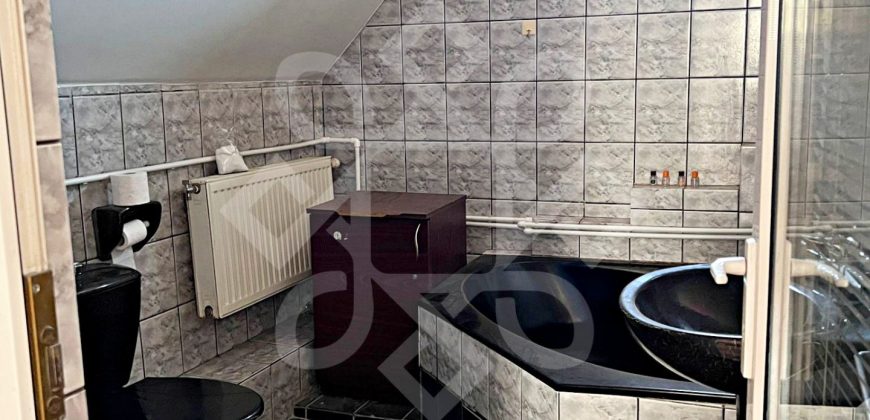 Casa cu 6 camere de inchiriat in Rogerius