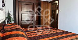 Apartament cu 2 camere de inchiriat in Prima Nufarul
