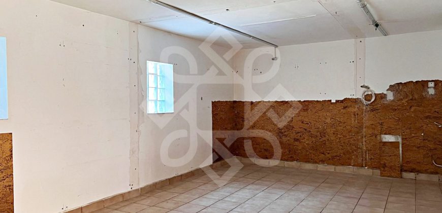 Casa cu 6 camere de inchiriat in Rogerius