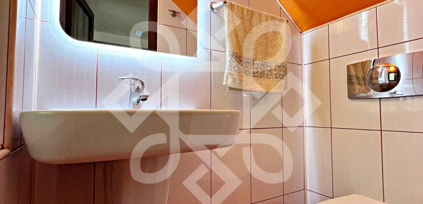 Apartament cu 1 camera de inchiriat ultracentral, Oradea