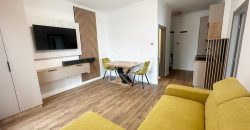 Apartament modern 2 camere de inchiriat in Sanmartin