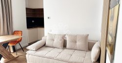 Apartament modern 2 camere de inchiriat in Sanmartin