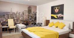 Casa cu 7 dormitoare de inchiriat in Haieu langa Baile 1 Mai