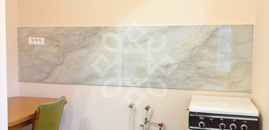 Apartament cu 4 camere de inchiriat pe Splaiul Crisanei